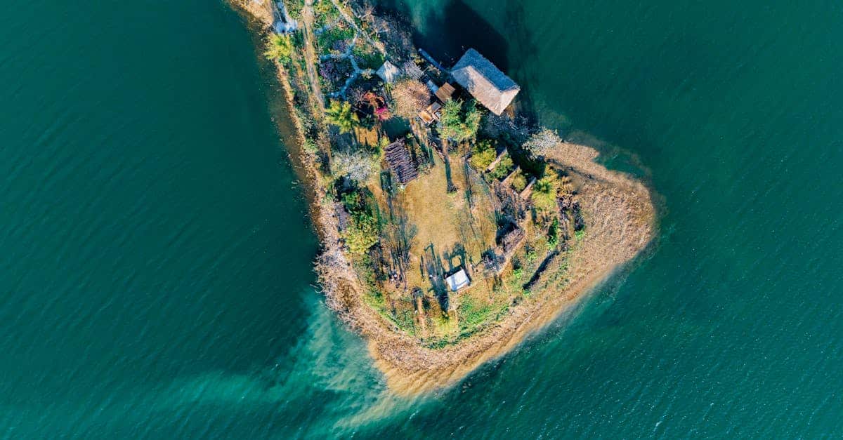 découvrez les défis écologiques majeurs auxquels notre planète est confrontée. explorez les enjeux liés au changement climatique, à la préservation de la biodiversité et à la gestion des ressources naturelles pour un avenir durable.