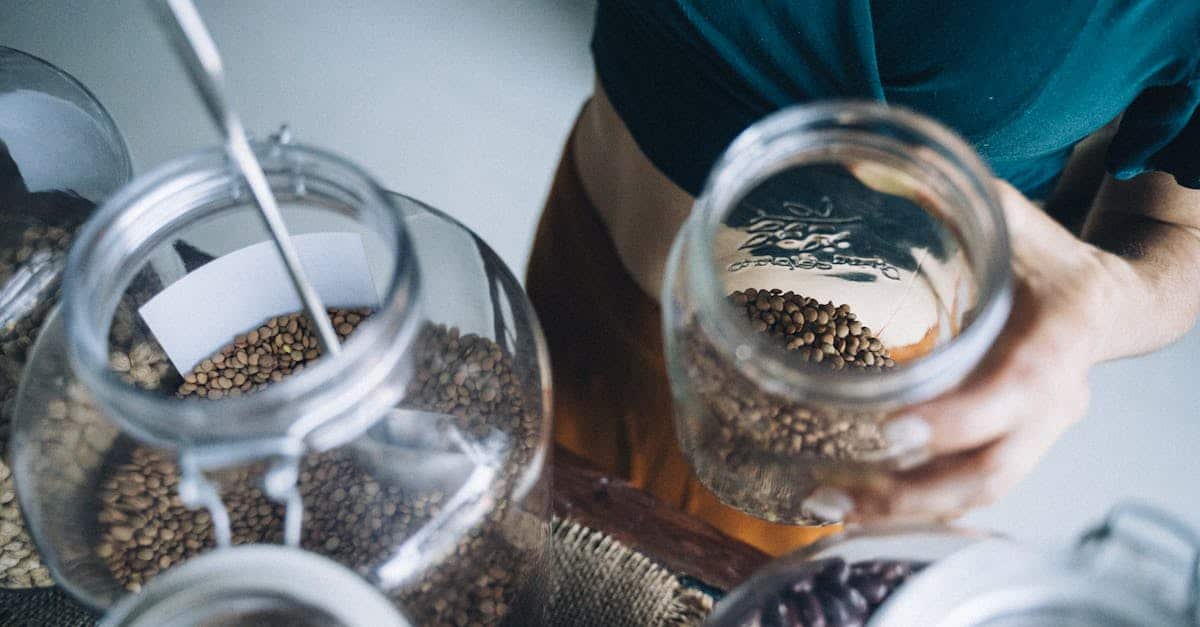 découvrez notre sélection de livres sur l'écologie, allant des ouvrages académiques aux récits engageants. plongez dans l'univers des enjeux environnementaux et trouvez des ressources essentielles pour comprendre et agir en faveur de notre planète.