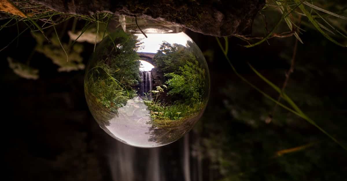 découvrez l'écologie, science essentielle pour comprendre les interactions entre les êtres vivants et leur environnement. explorez des solutions durables, la biodiversité et les enjeux environnementaux pour préserver notre planète.