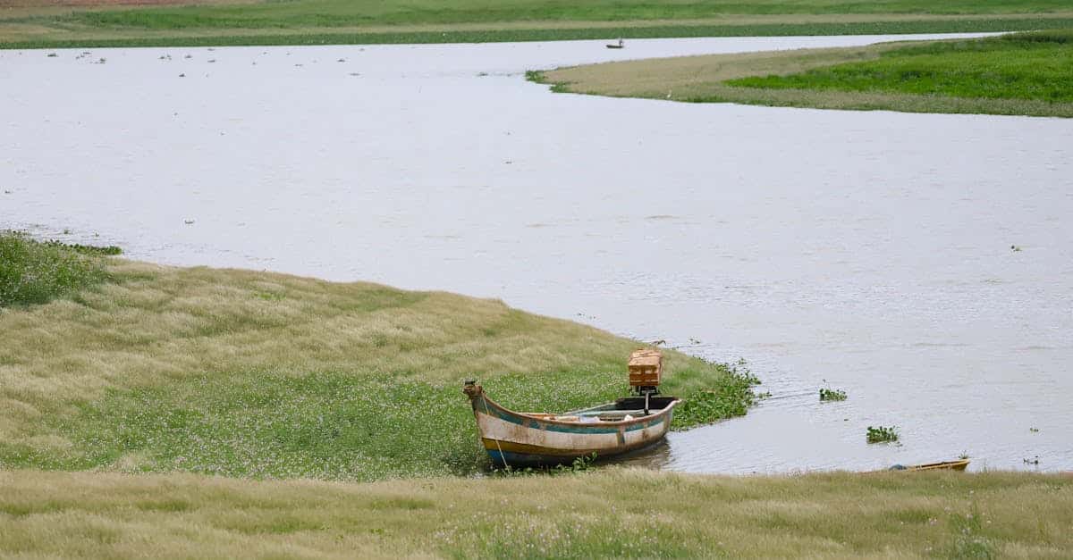 découvrez comment les convictions écologiques façonnent notre avenir, en promouvant des pratiques durables et en sensibilisant sur l'importance de protéger notre planète. engagez-vous pour une vie respectueuse de l'environnement grâce à nos conseils et idées inspirantes.