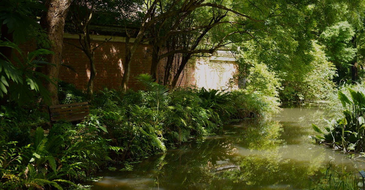 explorez l'intersection entre l'écologie et le libertarianisme, où la préservation de l'environnement s'harmonise avec les principes de liberté individuelle et de marché libre. découvrez comment ces idées peuvent coexister pour promouvoir un avenir durable et respectueux des droits personnels.