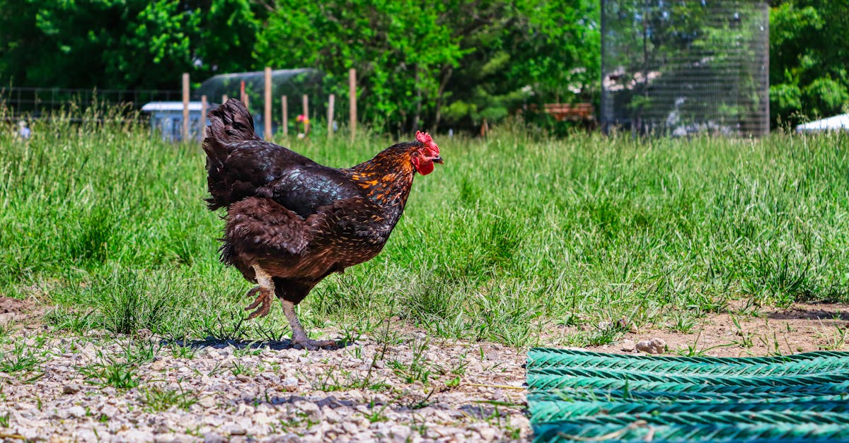 découvrez une approche durable pour un avenir meilleur, alliant innovation et respect de l'environnement. adoptez des pratiques écologiques et responsables pour contribuer à la préservation de notre planète.