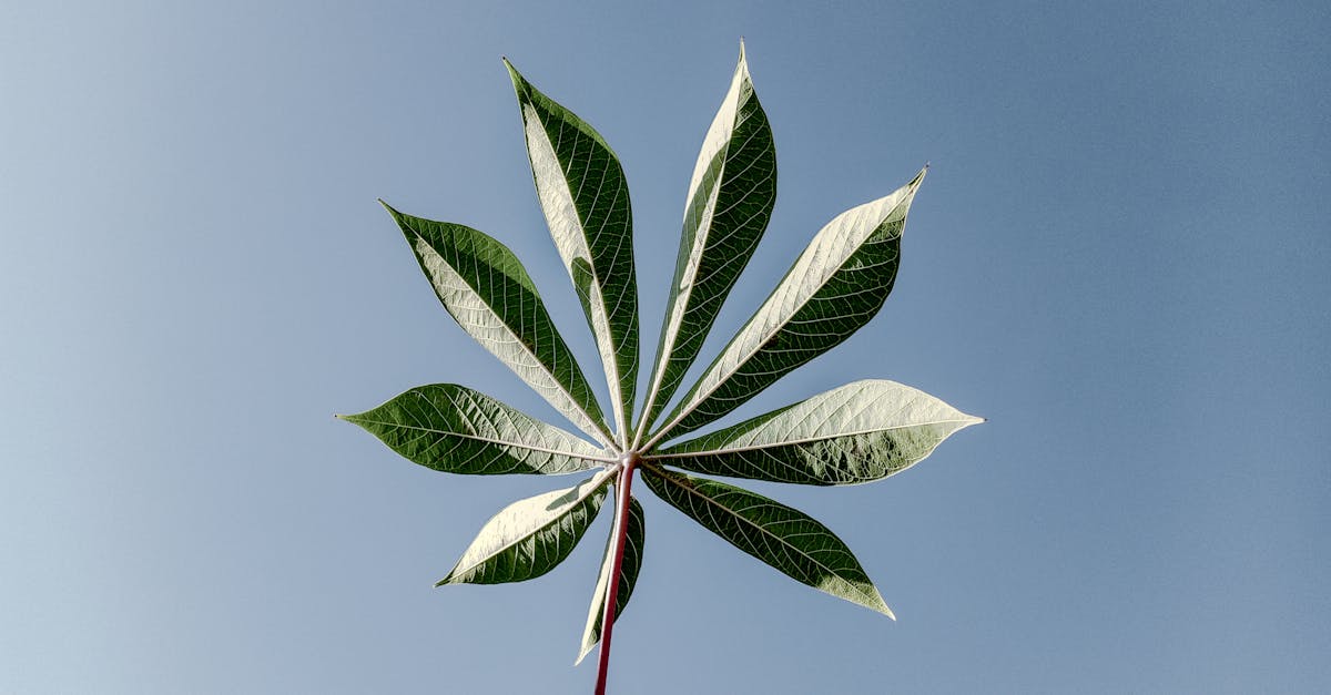 participez à notre concours photo, partagez vos plus beaux clichés et tentez de remporter de superbes prix ! ouvert aux amateurs comme aux passionnés de photographie.