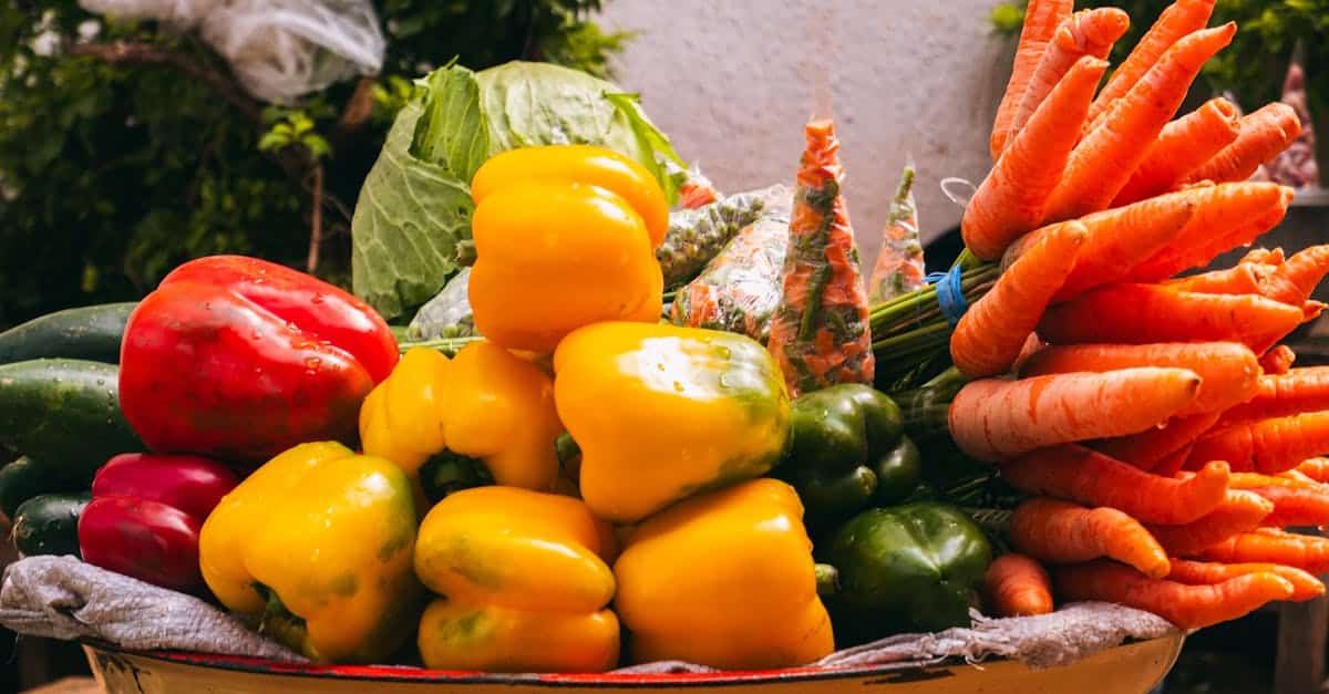 découvrez tout sur la végétalisation : techniques, avantages écologiques et conseils pour intégrer des plantes en milieu urbain afin d'améliorer l'environnement et la qualité de vie.