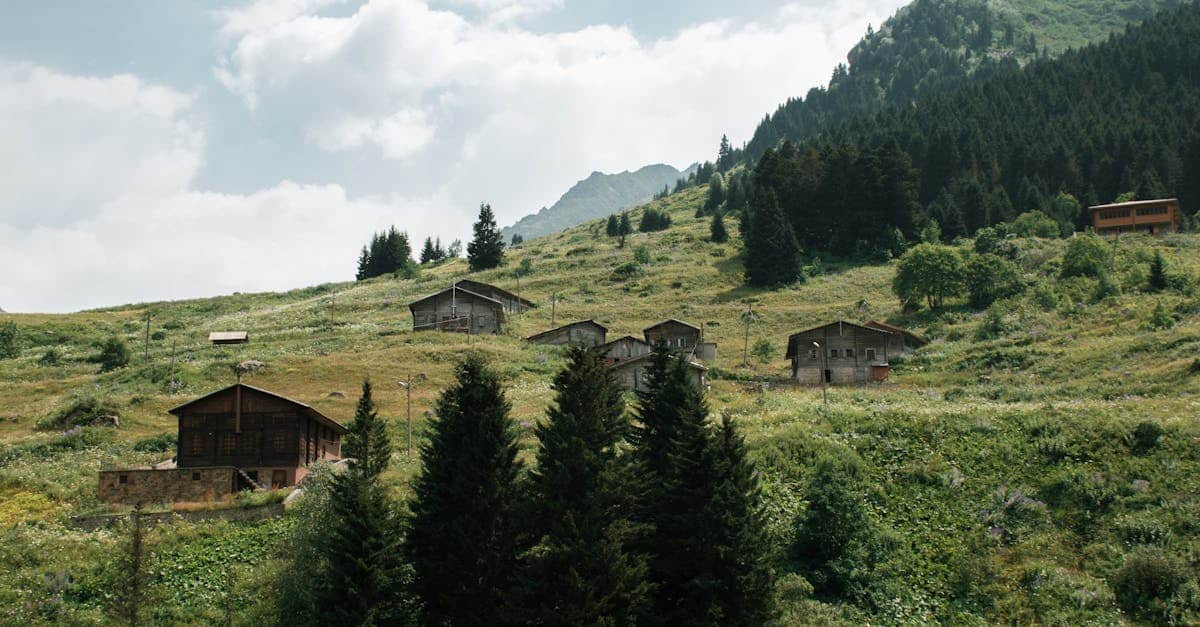 découvrez comment adopter un mode de vie durable grâce à des conseils pratiques, des astuces écoresponsables et des solutions innovantes pour protéger l’environnement au quotidien.