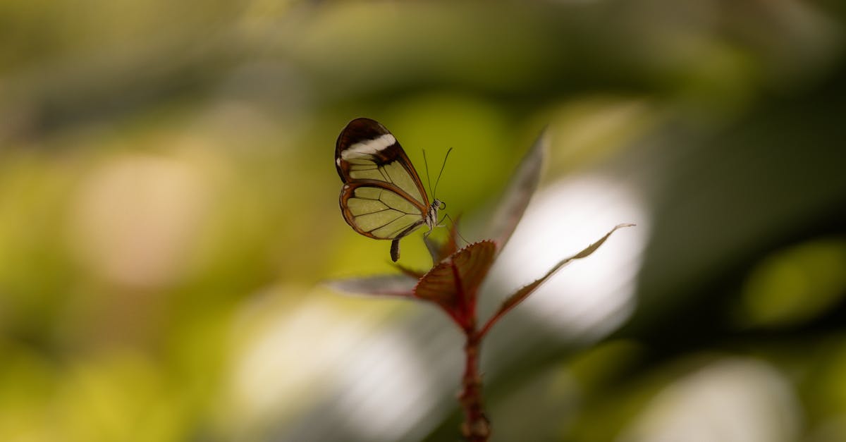 découvrez qui est greta thunberg, l'activiste suédoise engagée pour la lutte contre le changement climatique et célèbre pour son influence mondiale en faveur de l'environnement.