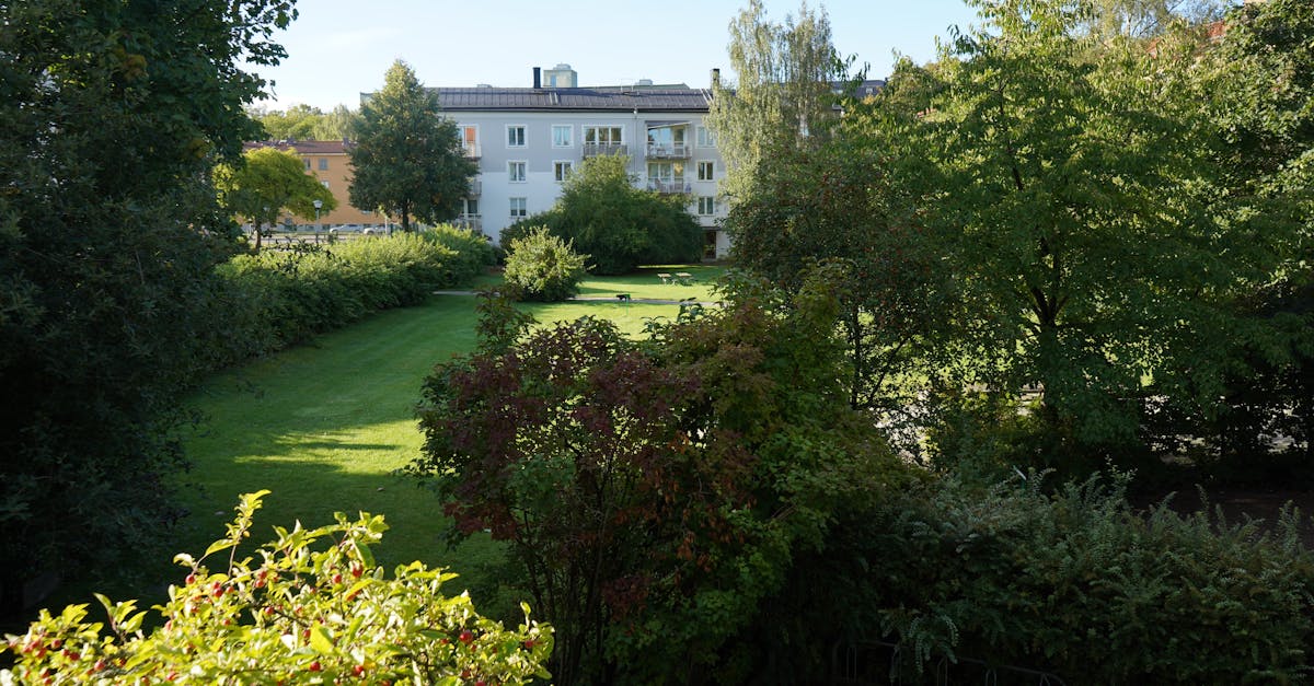 découvrez nos initiatives d'écologisation pour revitaliser les écosystèmes et promouvoir un développement durable respectueux de l'environnement.