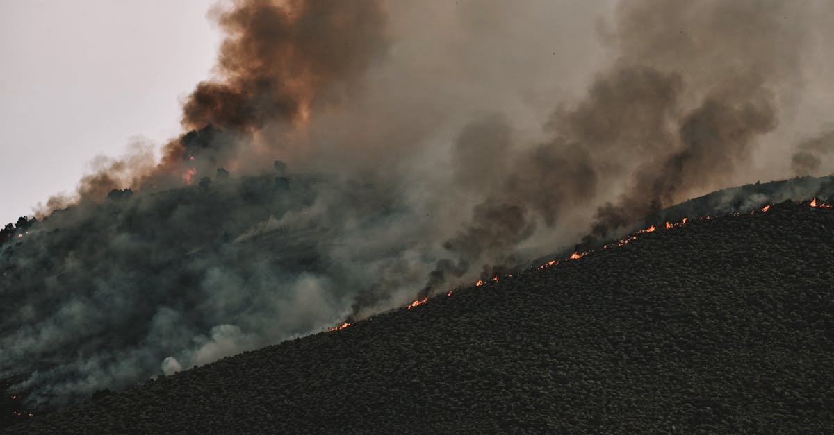 découvrez l'urgence écologique actuelle et les actions nécessaires pour protéger notre planète face aux défis environnementaux majeurs.