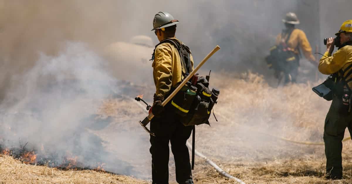 découvrez les enjeux cruciaux de l'urgence écologique et les actions nécessaires pour préserver notre planète face au changement climatique et à la perte de biodiversité.
