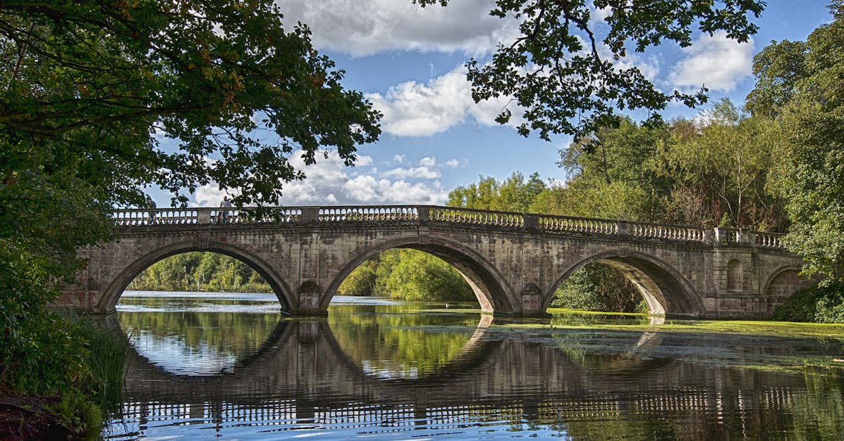 découvrez tout sur les algues filamenteuses, leur impact sur les écosystèmes aquatiques et les méthodes efficaces pour les contrôler.