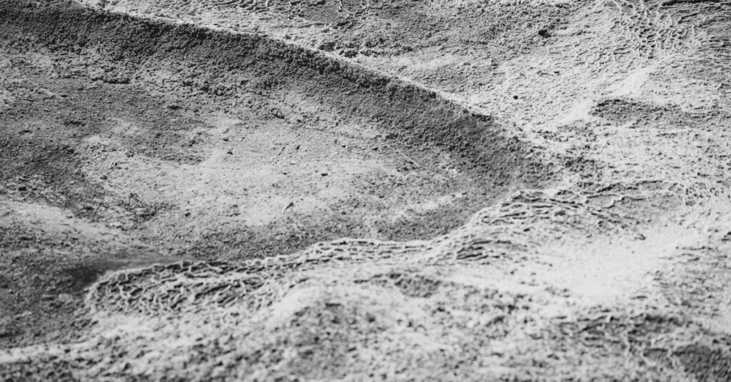 découvrez les premiers herbivores terrestres, leurs caractéristiques et leur rôle crucial dans l'évolution des écosystèmes terrestres.