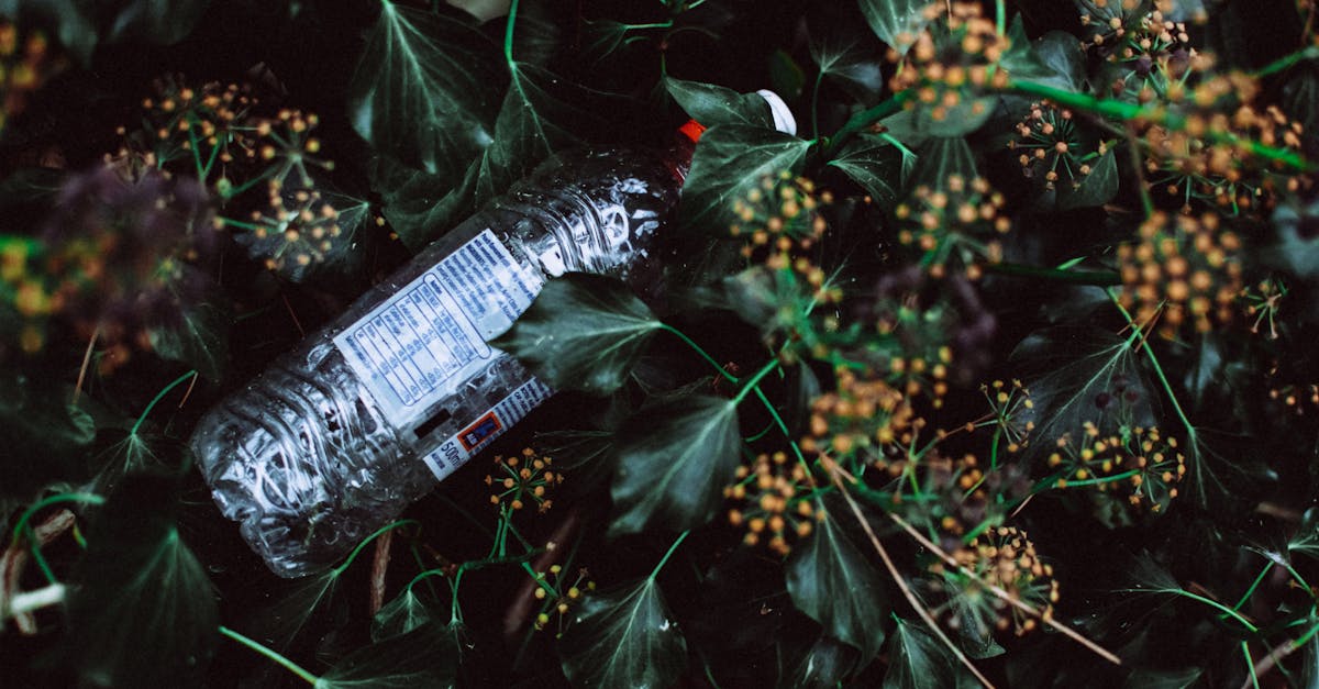 découvrez l'écologie, l'étude des interactions entre les êtres vivants et leur environnement, pour mieux comprendre et préserver notre planète.