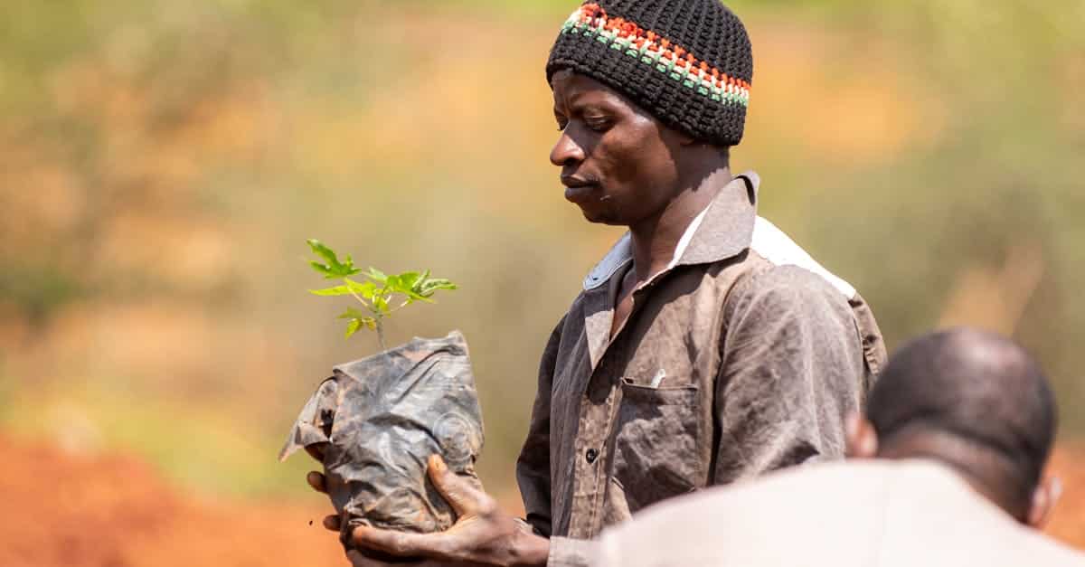 découvrez notre engagement écologique, alliant respect de l'environnement et développement durable pour un avenir plus vert.