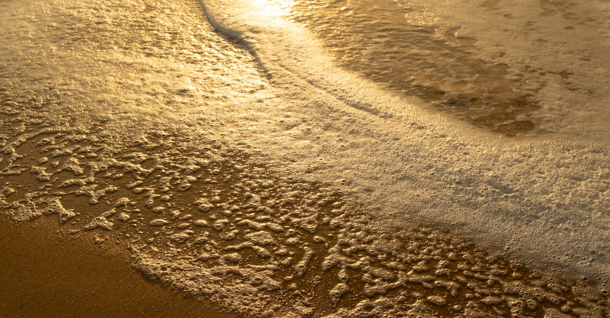 découvrez les causes, les effets et les conseils pratiques pour faire face aux vagues de chaleur et protéger votre santé durant les périodes de fortes températures.