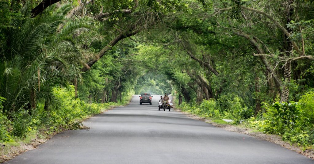 explorez la ruralité : découvrez la vie, la culture et les paysages des zones rurales, ainsi que leurs défis et opportunités.