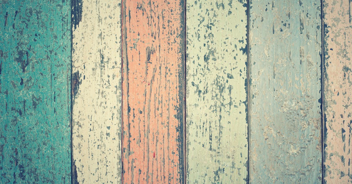 découvrez l'inattendu : des surprises et moments imprévus qui captivent et émerveillent à chaque instant.