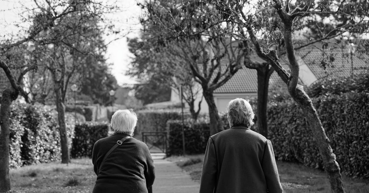 découvrez l'importance de la compagnie et du lien social pour enrichir votre vie quotidienne et renforcer votre bien-être émotionnel.