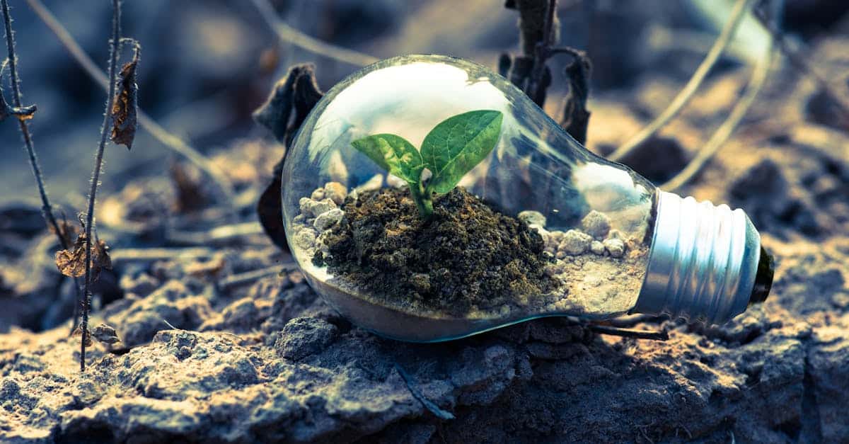 découvrez tout sur l'écologie : protection de l'environnement, biodiversité, développement durable et actions pour un avenir plus vert.