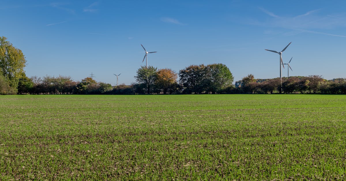 découvrez l'importance de l'écologie pour préserver notre planète, comprendre les enjeux environnementaux et adopter des pratiques durables.