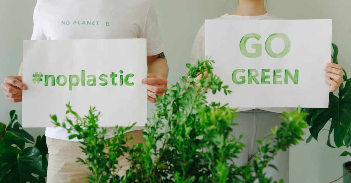 découvrez les enjeux de l'écologie, les actions pour préserver notre planète et promouvoir un développement durable respectueux de l'environnement.