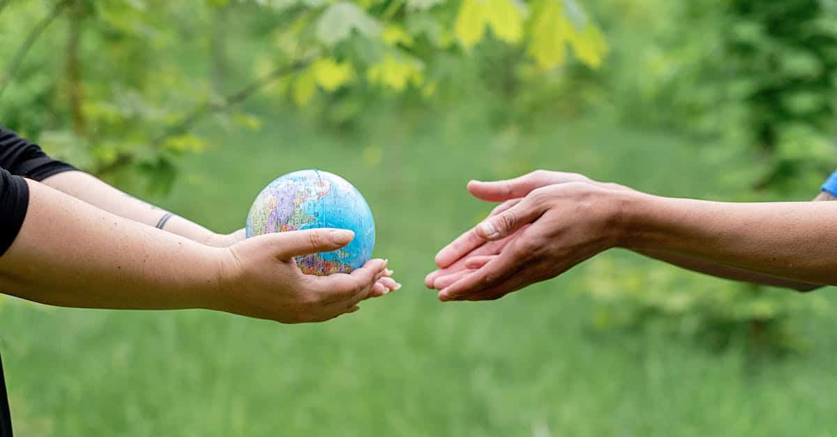 découvrez tout sur l'écologie : protection de l'environnement, biodiversité, développement durable et actions pour préserver notre planète.