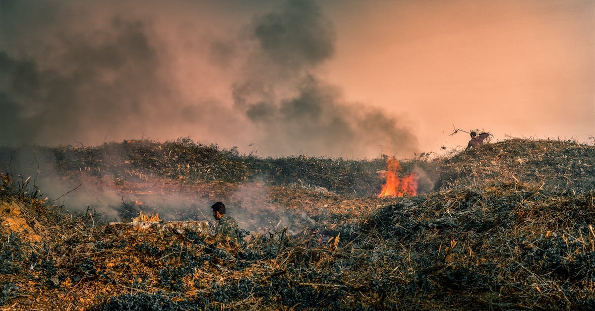 explorez les conflits environnementaux : causes, enjeux et solutions pour un développement durable et la protection de notre planète.