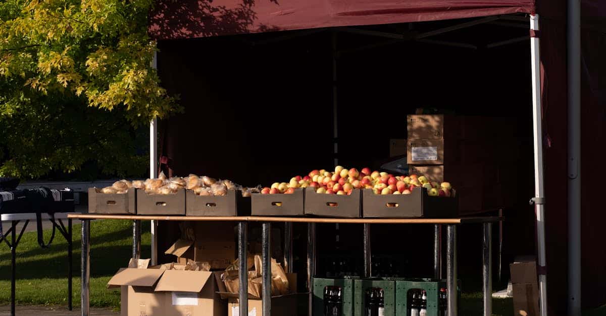 découvrez notre sélection de produits biologiques équitables, alliant qualité, respect de l'environnement et commerce éthique pour un avenir durable.