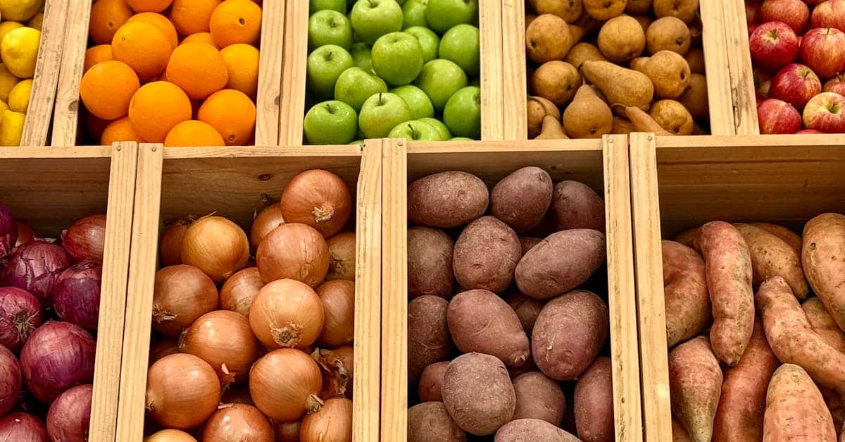 découvrez notre sélection de produits équitables et biologiques, alliant qualité, respect de l'environnement et commerce éthique pour un mode de vie durable.