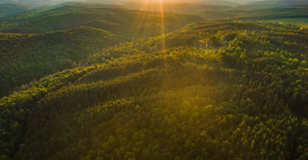 découvrez ambitious ecology, une initiative engagée pour un avenir durable grâce à des solutions écologiques innovantes et ambitieuses.