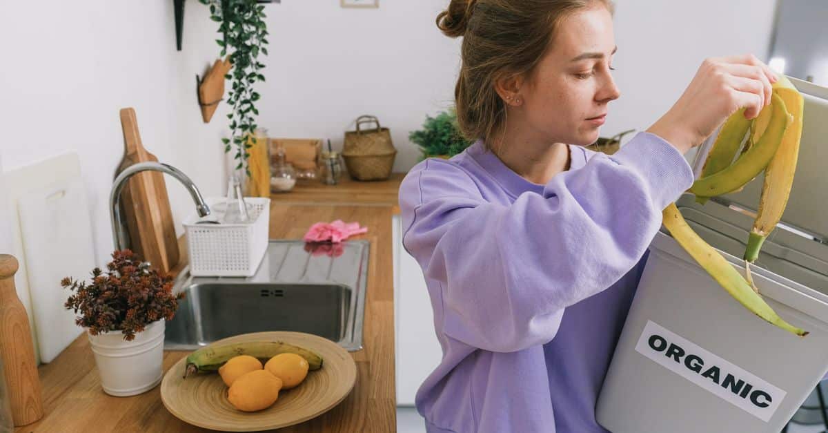 apprenez les techniques efficaces de compostage pour transformer vos déchets organiques en un fertilisant naturel, améliorant ainsi la qualité de votre sol et contribuant à la préservation de l'environnement.