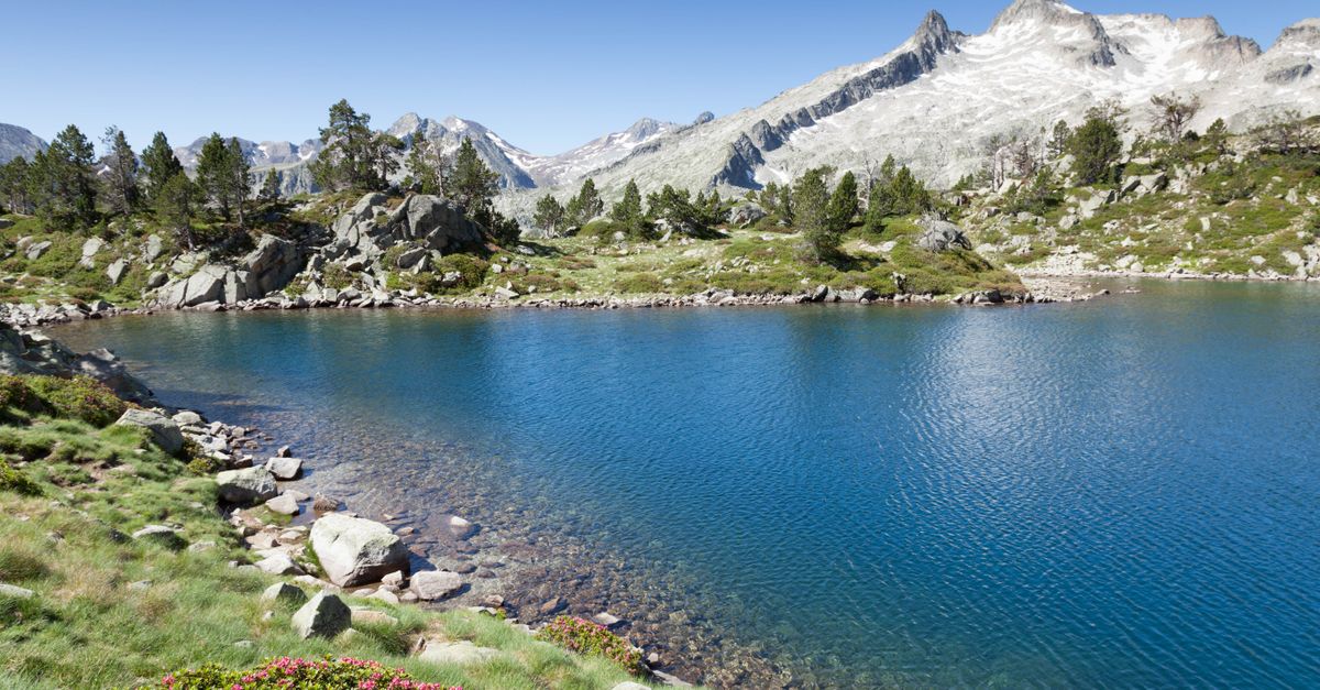 découvrez l'histoire écologique de la france, retraçant les interactions entre l'homme et son environnement à travers les siècles.
