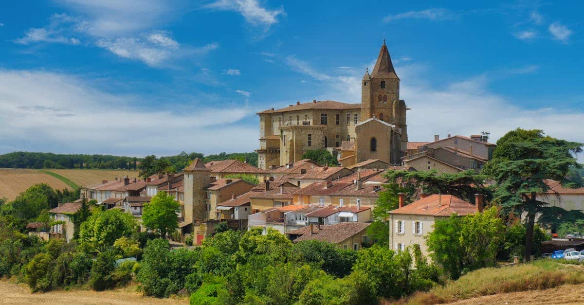 découvrez l'histoire écologique de la france, explorant l'évolution des paysages, la biodiversité et les interactions entre l'homme et son environnement à travers les siècles.