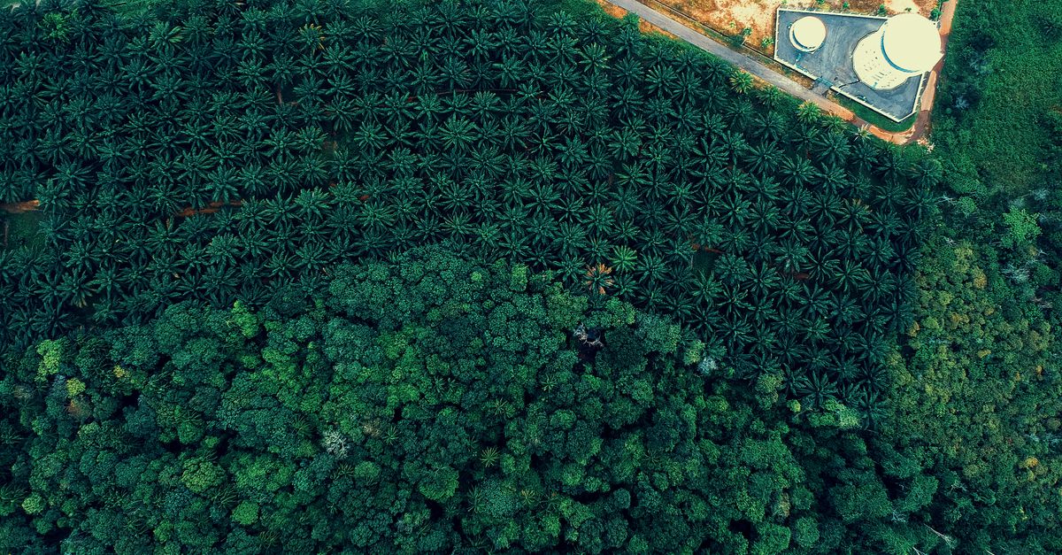 découvrez les enjeux et solutions de la transition écologique pour un avenir durable, alliant protection de l'environnement et développement responsable.