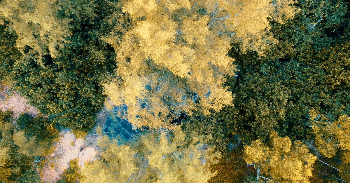 découvrez les enjeux et solutions de la transition écologique pour un avenir durable et respectueux de l'environnement.