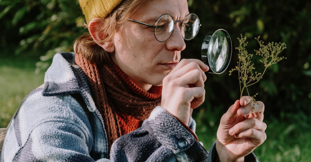 découvrez ecologist freshness pass, votre allié pour une fraîcheur écologique et naturelle au quotidien.