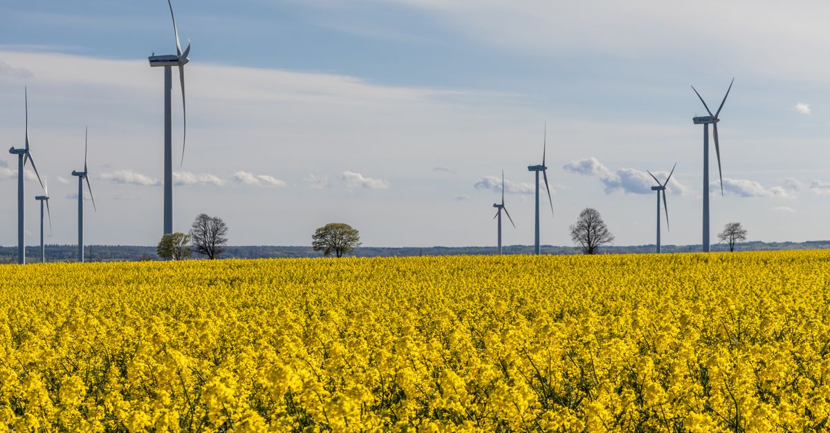 découvrez tout sur l'écologie : principes, enjeux, actions pour protéger notre planète et promouvoir un développement durable.