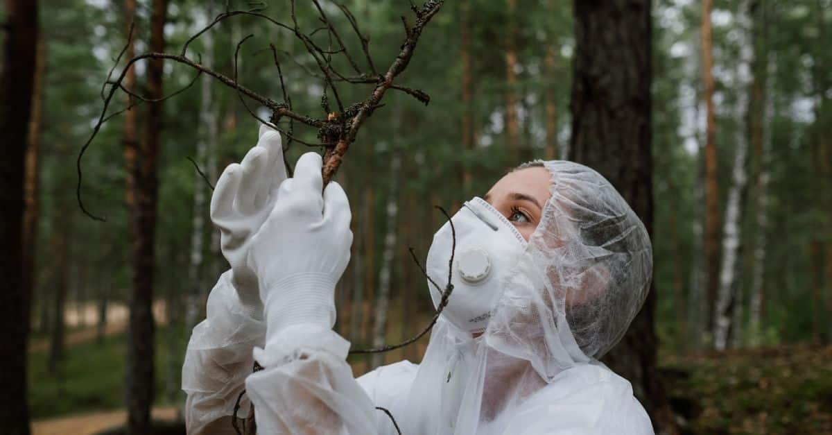 découvrez l'écologie, l'étude des interactions entre les organismes et leur environnement, et apprenez comment préserver notre planète pour les générations futures.