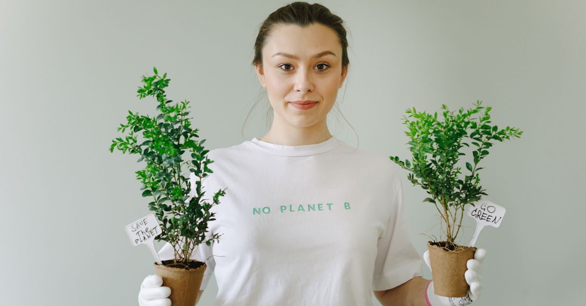 découvrez le rôle d'un environnementaliste, engagé dans la protection de la nature et la promotion du développement durable pour un avenir plus vert.