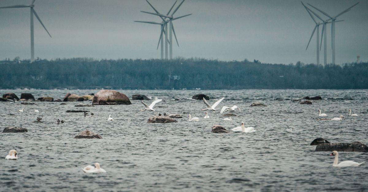 découvrez la turbine totalement immergée, une technologie innovante pour une production d'énergie efficace et durable directement sous l'eau.