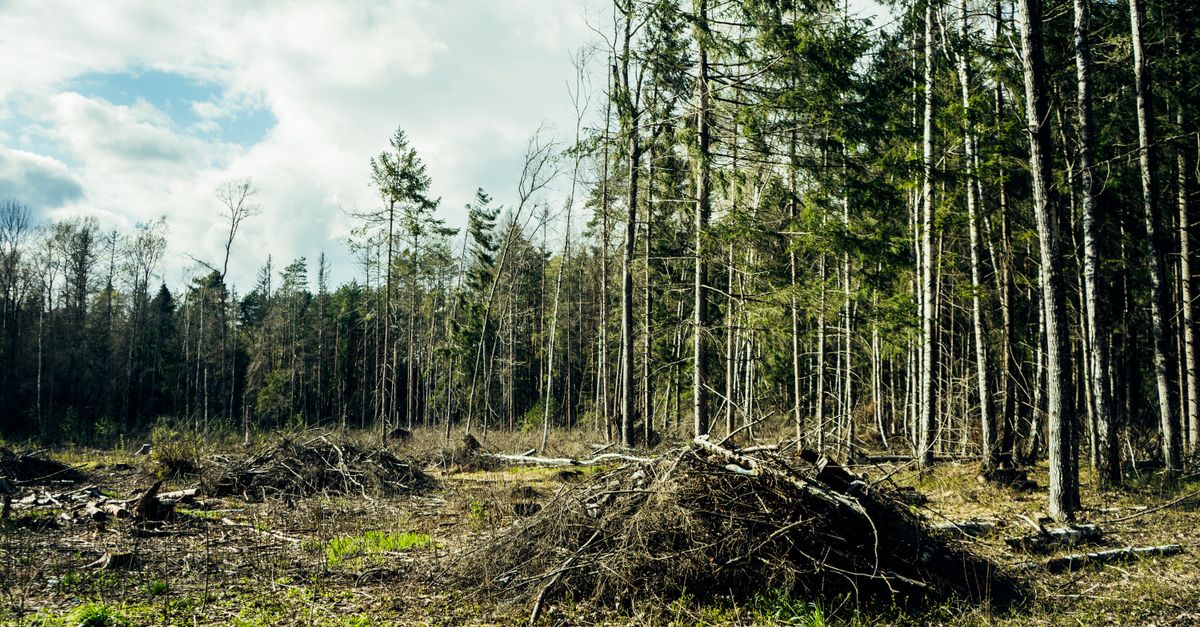 découvrez le concept d'écologie punitive, une approche qui lie la protection de l'environnement à des sanctions strictes pour encourager des comportements responsables et durables.