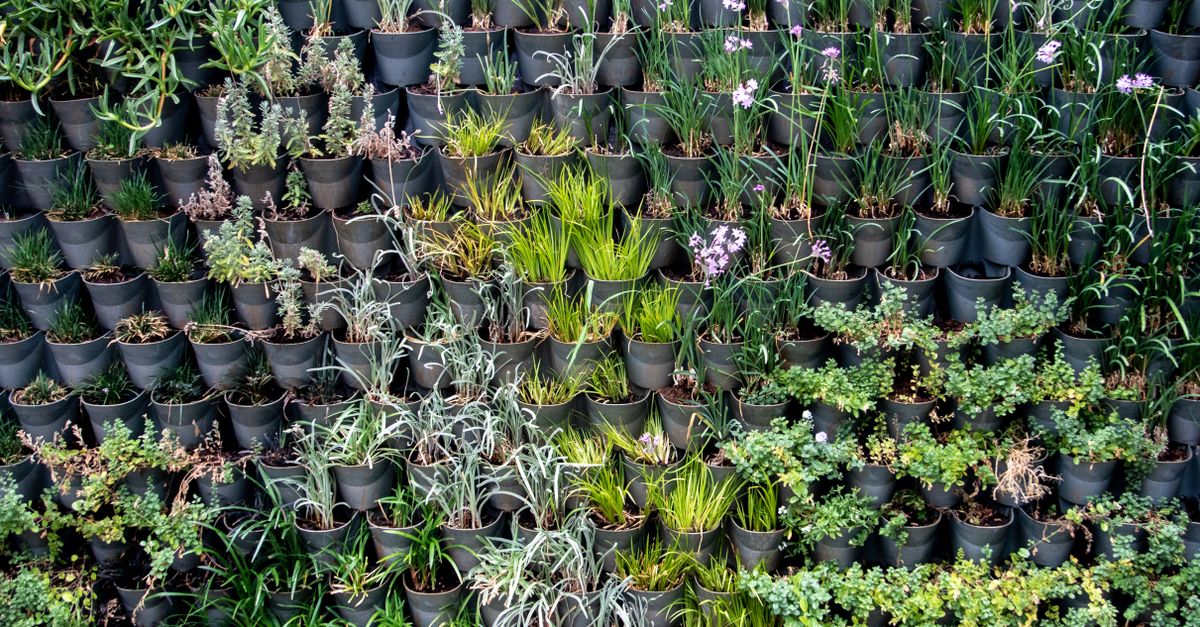 découvrez l'écologie urbaine, l'étude des interactions entre la nature et les villes pour un développement durable et une meilleure qualité de vie.