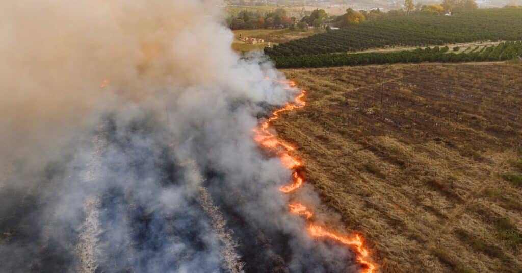 découvrez la loi d'urgence agricole : mesures rapides et efficaces pour soutenir le secteur agricole en période de crise.