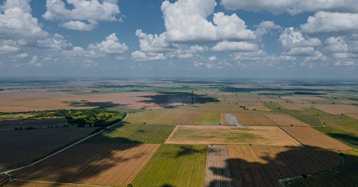 découvrez les causes, impacts et mesures de prévention des incendies dans les plaines agricoles, un enjeu crucial pour la sécurité des cultures et de l'environnement.