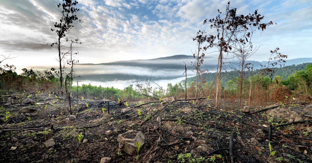 découvrez les impacts du changement climatique, ses causes et les solutions pour un avenir durable face aux défis environnementaux mondiaux.