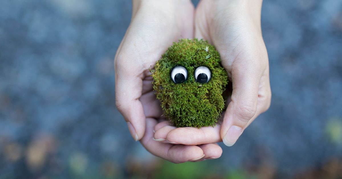 découvrez une comédie écologique amusante qui sensibilise tout en divertissant. rire et respect de la planète réunis dans un spectacle unique et engagé.