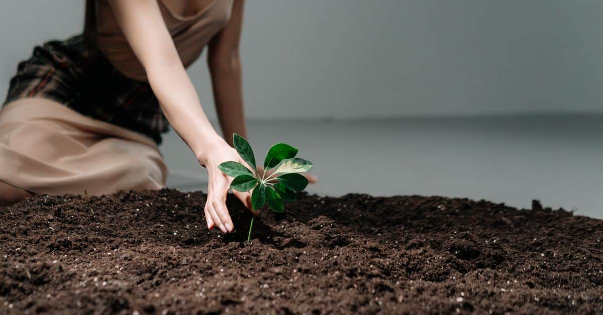 découvrez le concept d'humilité écologique, une approche respectueuse de la nature qui encourage la conservation et l'harmonie avec l'environnement.