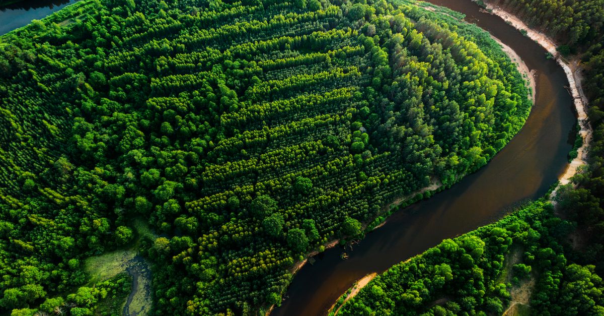 découvrez les débats et controverses actuels dans le secteur écologique, entre enjeux environnementaux, pratiques durables et impacts économiques.