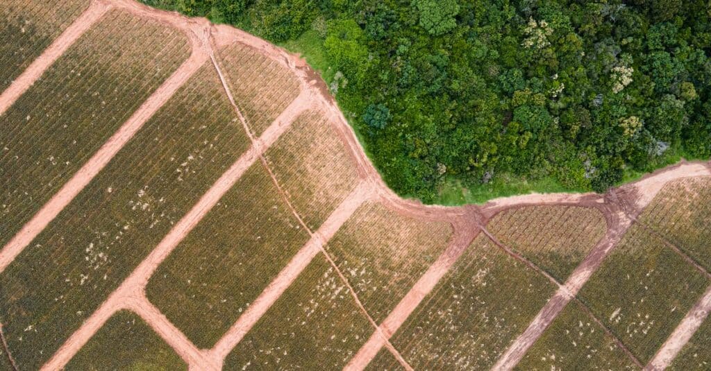 découvrez les controverses actuelles dans le secteur écologique, analysant les enjeux environnementaux, économiques et sociaux liés à la protection de la planète.