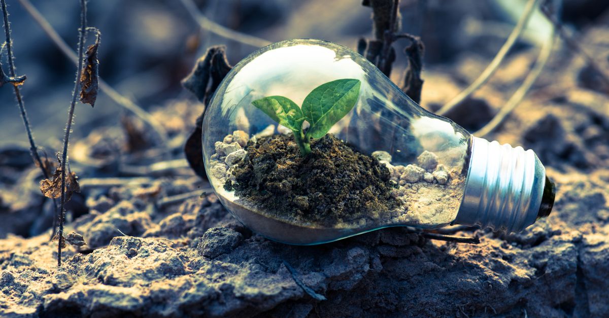découvrez les enjeux de l'écologie et les actions pour préserver notre planète. sensibilisation, conseils et actualités sur l'environnement et le développement durable.