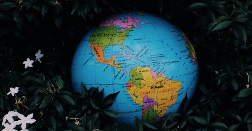 découvrez tout sur l'écologie : protection de l'environnement, développement durable, biodiversité et actions pour préserver notre planète.
